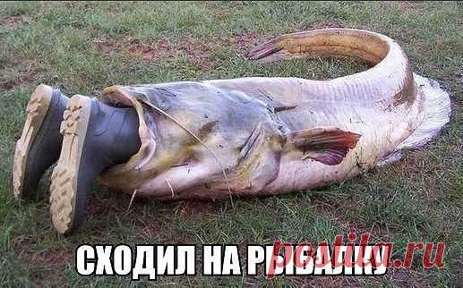 Абсолютно чистый легальный интернет-проект.Официальное трудоустройство стабильный доход,соц-пакет.Без распрастранения продукции и финансовых вложений.Предложение подходит абсолютно всем начиная от студентов и людей пенсионного возраста,возможно совмещение с основной работой.Подробности в сообщение.http://zy4zy.blogspot.com