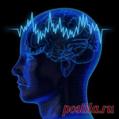 Правда и вымысел об &quot;альфа - состоянии&quot;
