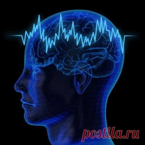 Правда и вымысел об "альфа - состоянии"