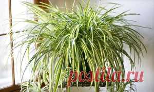 Свобода - Сделай сам : AdMe — Творчество. Свобода. Жизнь.