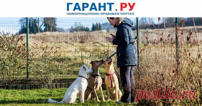 2023-СОДЕРЖАНИЕ ПРИЮТОВ для безнадзорных животных: два свежих примера из судебной практики Напомним, нарушения, обнаруженные в деятельности приюта для бездомных животных, могут повлечь прекращение деятельности.