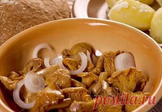 Салат с солеными грибами.