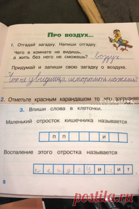 20 гениальных ответов детей в школьных тетрадях