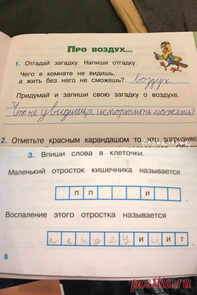 20 гениальных ответов детей в школьных тетрадях