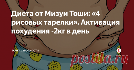 Диета от Мизуи Тоши: «4 рисовых тарелки». Активация похудения -2кг в день диета