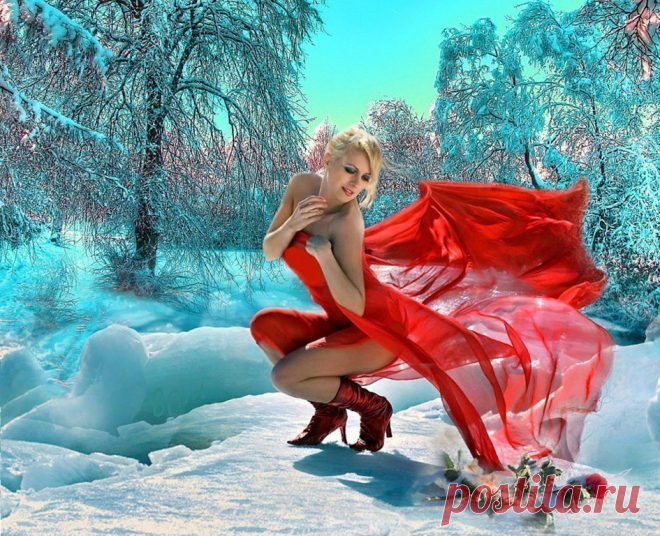 Розы на снегу ~ Плэйкасты ~ Beesona.Ru