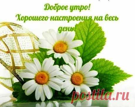 ПРИЯТНОГО ВАМ УТРА ! – Стихи-как музыка, пользователь Римма Доношенко | Группы Мой Мир