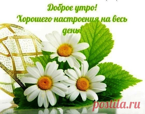 ПРИЯТНОГО ВАМ УТРА ! – Стихи-как музыка, пользователь Римма Доношенко | Группы Мой Мир