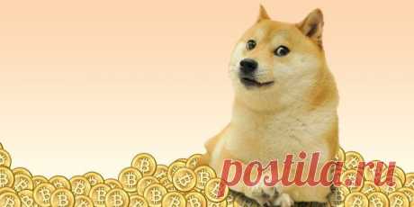 Обсуждение запрета Bitcoin в России / Интересное в IT