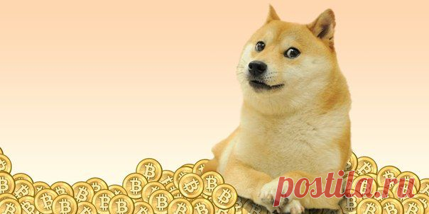 Обсуждение запрета Bitcoin в России / Интересное в IT