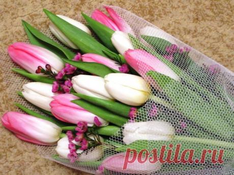 БУКЕТЫ ИЗ КОНФЕТ РЕКВИЗИТ ДЛЯ ФОТОСЕССИЙ
38 лет, Украина, Киев