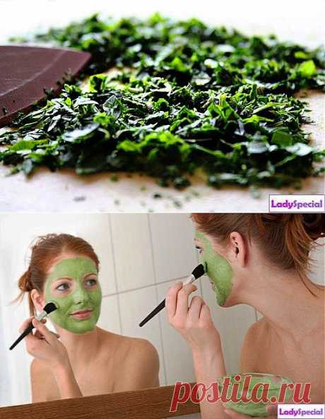 Петрушка для лица - Женский журнал LadySpecial.ru