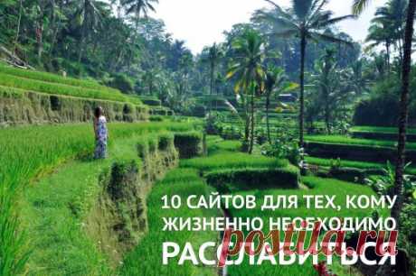 (20) Одноклассники