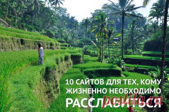 (20) Одноклассники
