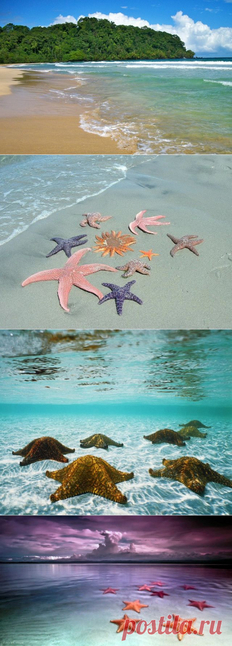 ПЛЯЖ МОРСКИХ ЗВЁЗД.