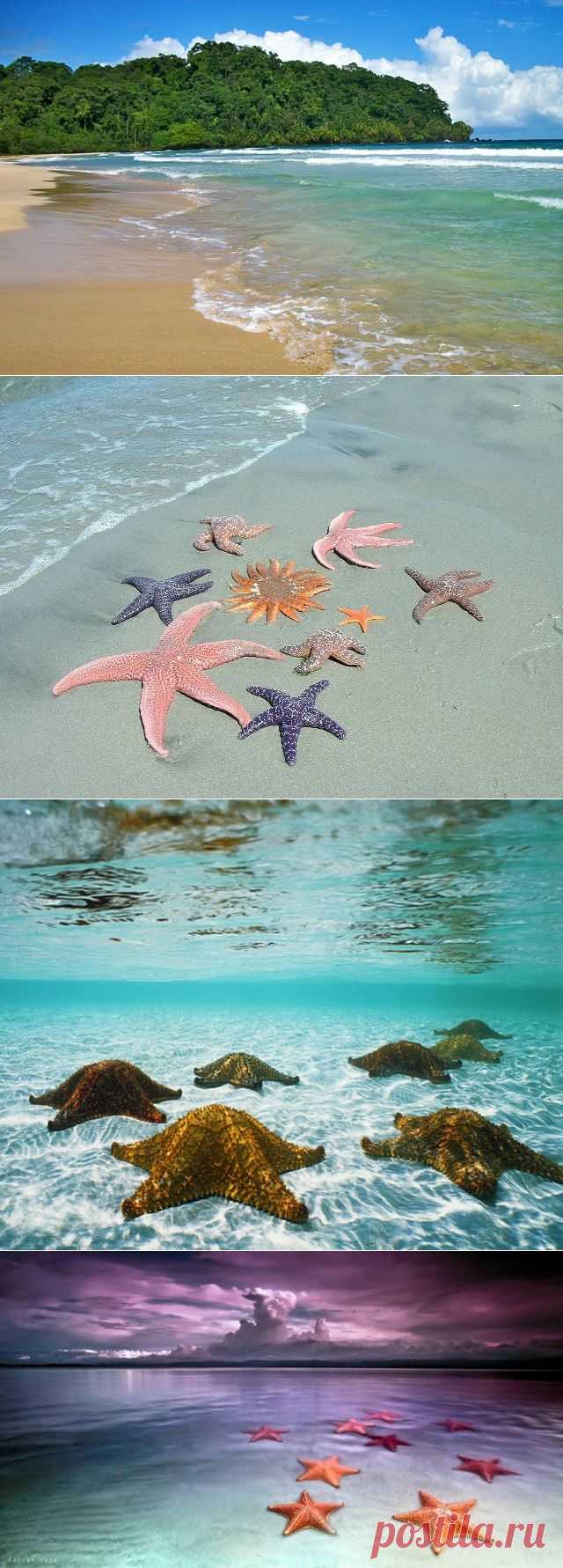 ПЛЯЖ МОРСКИХ ЗВЁЗД.