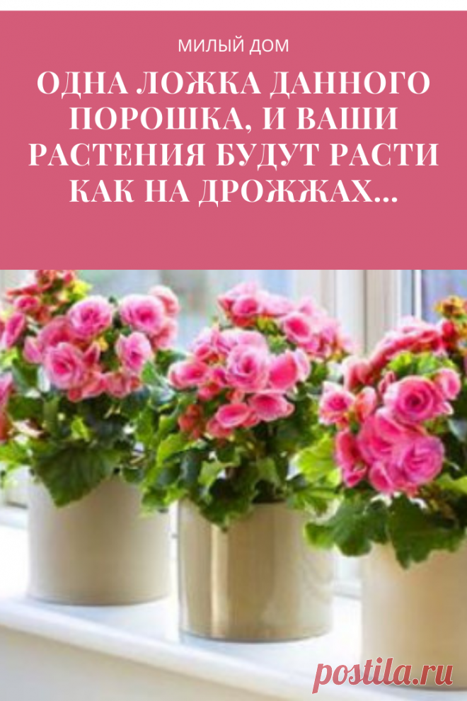 Подкормка для растений