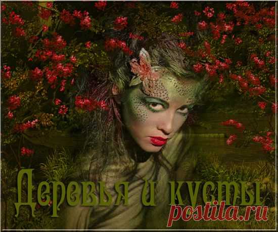 Клипарт "Деревья и кусты