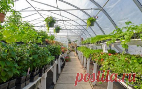 Как сделать «двухэтажную» грядку? | Растения