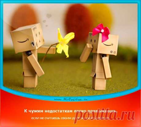 Позитивчики Недели (смотреть фото)