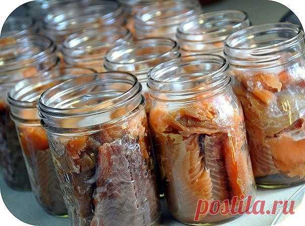 (4) Одноклассники