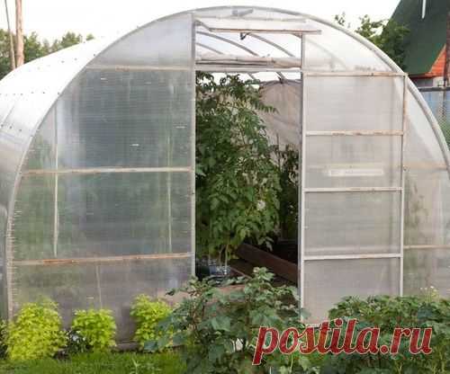 Особенности и преимущества теплиц из сотового поликарбоната.