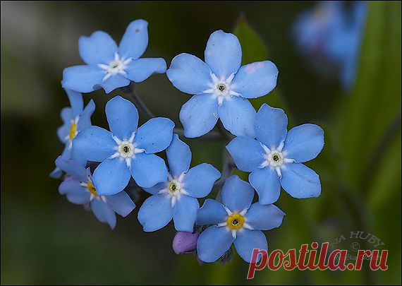 ЯРКИЙ МИР ТВОРЧЕСТВА!
Liudmila Mokhnenko