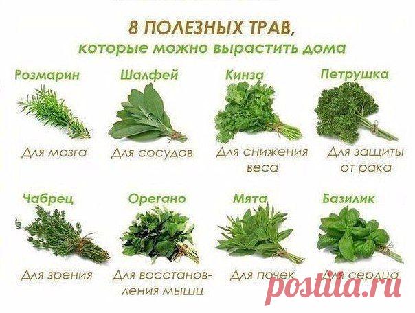 Календарь садовода