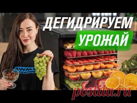 Как сохранить урожай: сушка фруктов, овощей, ягод, грибов в дегидраторе RAWMID RMD-10 и RCD-06