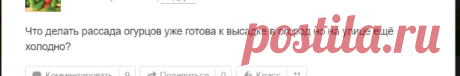 1 непрочитанный чат