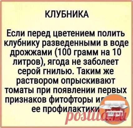Ο клубничке!