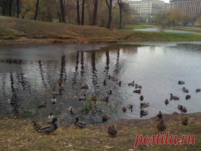 Лефортовский парк и Екатерининский дворец,