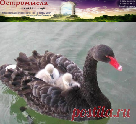 Признаки счастливых людей
