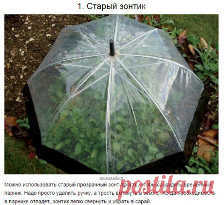 Десяток отличных советов для дачников