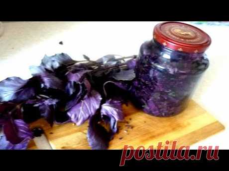 ЭТОТ РЕЦЕПТ ЗАГОТОВКИ БАЗИЛИКА ПОКОРИЛ ВСЕХ!Простое со вкусом базиликовое масло для заправки салатов