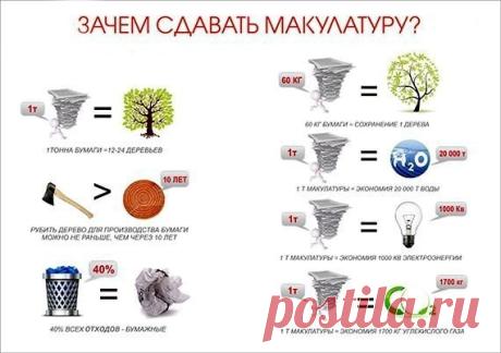 Экология | Пермакультура | ЭКО-Поселения