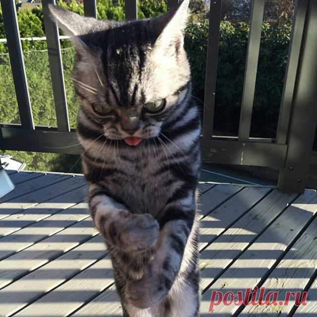 Фотоподборка за 21.01.2015