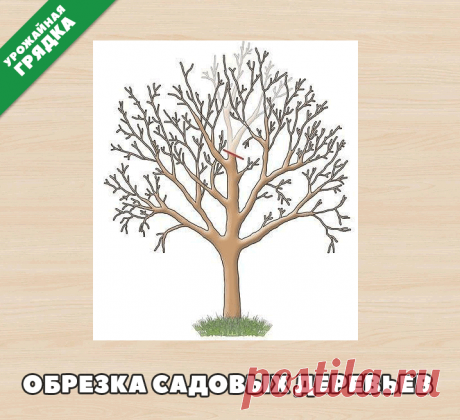 (73) Одноклассники