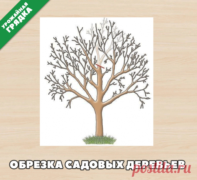 (73) Одноклассники