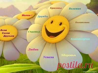 ЗДОРОВЬЕ деловым людям!!!
С утра до вечера деловым людям — бизнесменам, программистам, менеджерам, банкирам – приходится решать тысячи важных и неотложных вопросов, так что к концу дня голова просто кругом идет. Как правило, у них ненормированный рабочий день, да и выходные дни выпадают не каждую неделю. А держать мысли под контролем необходимо постоянно — ведь малейшая упущенная деталь может дорого обойтись.
И вот тут придут на помощь продукты, которые можно объединить названием «ясный ум»