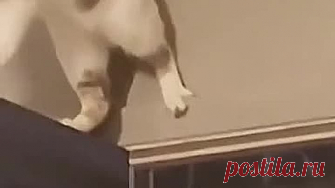 Ещё и мизинчик оттопырил, акробат-аристократ 🤣