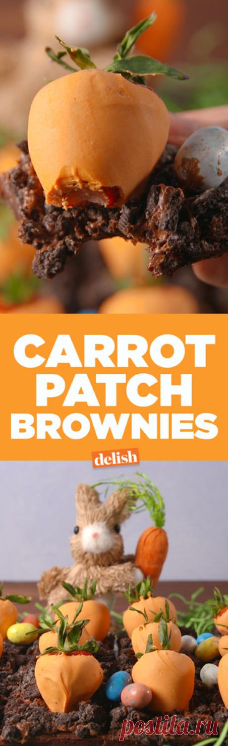 Best Carrot Patch Brownies - How to Make Carrot Patch Brownies - Delish.com