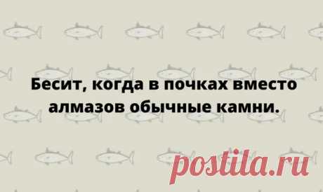 (30) Очередная коллекция тонкого юмора для позитивного настроения - Сказка для двоих - 17 декабря - 43630051775 - Медиаплатформа МирТесен