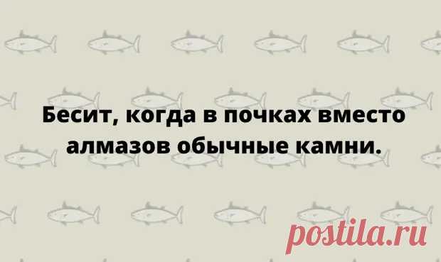 (30) Очередная коллекция тонкого юмора для позитивного настроения - Сказка для двоих - 17 декабря - 43630051775 - Медиаплатформа МирТесен