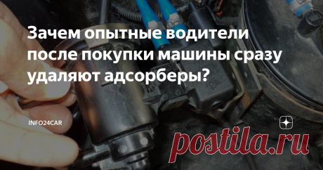Зачем опытные водители после покупки машины сразу удаляют адсорберы?