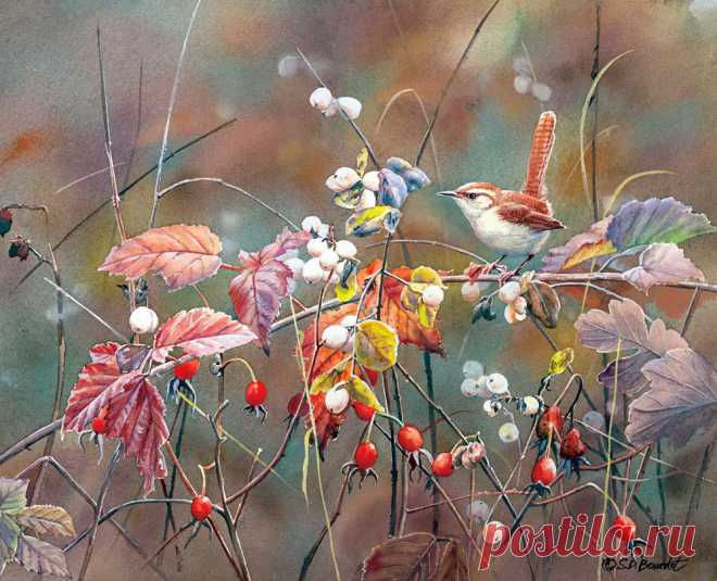 Пенье птиц... Художница Сьюзен Бордет (Susan Bourdet).