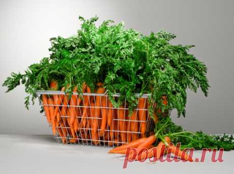 Чем на самом деле заесть стресс: продукты для успокоения.