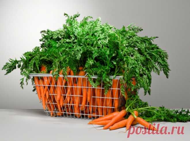 Чем на самом деле заесть стресс: продукты для успокоения.