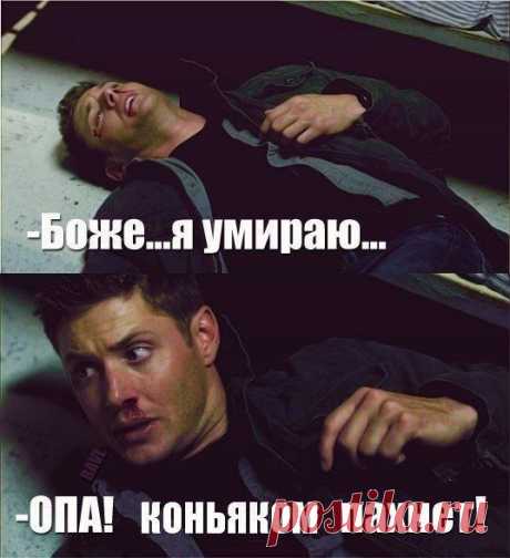 Весёлые картинки | Смехопанорама