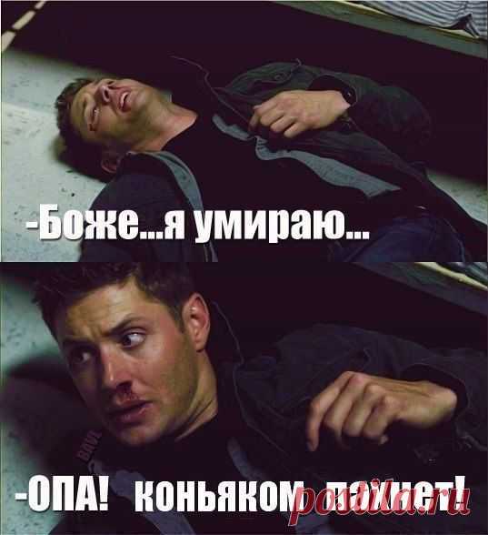 Весёлые картинки | Смехопанорама